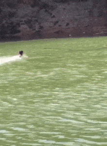 演技|搞笑GIF：人生如戏全靠演技，但是也太假了