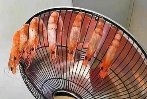 大学|大学宿舍里的“奇葩”发明,辅导员笑得肚子疼,网友:都是人才!