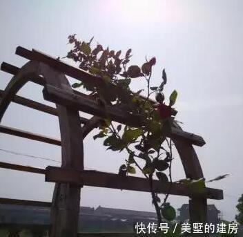 自建房|远嫁农村，晒一晒我农村的自建房，前前后后花50万