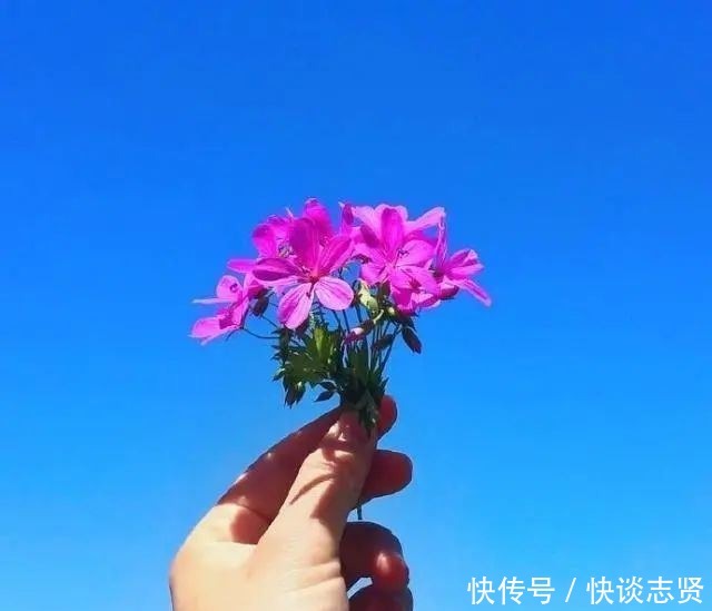  让自己|三观很正的短句，生活感悟！