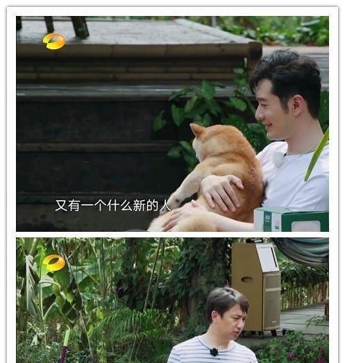 鼓励|黄晓明和黄磊在《向往的生活》疑似鼓励肖战,何炅一句话都没说