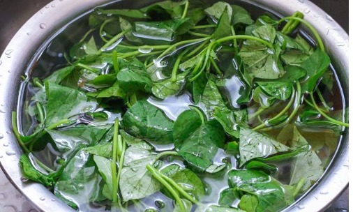 青菜|不管炒啥青菜,牢记1个小妙招,青菜翠绿不发黑,也不出水