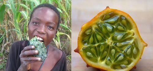 我国|名字高大上，味道不如黄瓜，却在我国爆红，又是炒作起来的水果