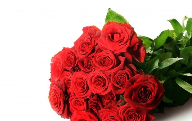  喜人|近期桃花喜人，爱情迎好运，有望遇见良缘佳偶，要脱单的四大生肖