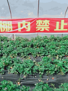 GIF|搞笑GIF:真的搞不懂这种操作是为了什么,为了开快点?还是帅?