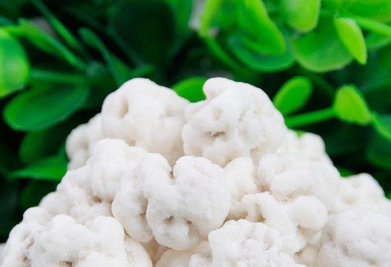 特别|容易“暴露年龄”的几种糖果,全部都吃过的,孩子都要上学了吧