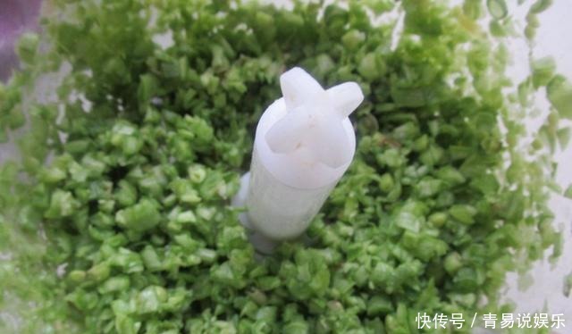  饺子|7月包饺子，荠菜芹菜靠边站，有个菜正当季，一口满嘴香