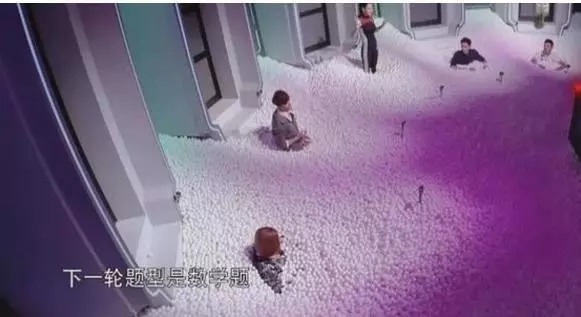 终于|这档综艺节目, 真让明星丢尽脸, 网友终于明白, 什么叫愚乐圈了?