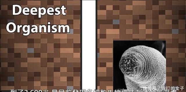  人类史上|人类史上到底挖过多深的坑