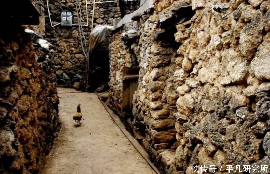 石头|距今二百年的村落, 建房的石头都是化石, 墙上可见清晰的植物脉络