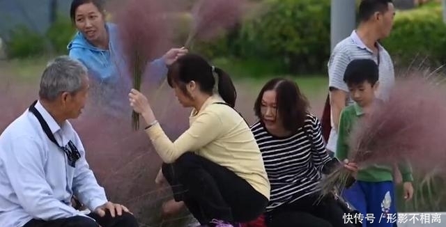 花美|硬核!大妈景区手拿喇叭放金句:进入花田你没有花美,谁丑谁尴尬