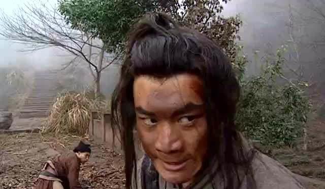 武松没|武松杀了张都监一家十五口人,难道真的没有误杀一个