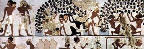 知识|酒知识︱关于葡萄酒历史的这些冷知识，你知道吗？