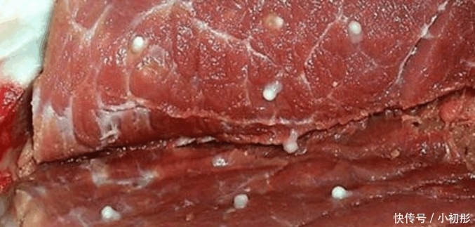 公认|日本人的重口味是公认的, 如果亲眼见了, 就不只是重口味了!