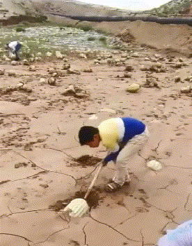 搞笑|搞笑GIF：直到今天我才知道，原来西瓜是长在土里面的