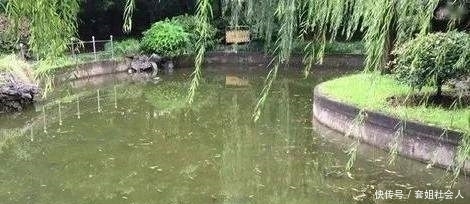 惠利|来惠利女士为什么会死得那么惨?这对我们有什么启示?