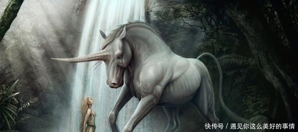  谈恋爱的情|8月，付出真心实意，动了真心，三星座放不下，忘不掉，把爱讨回