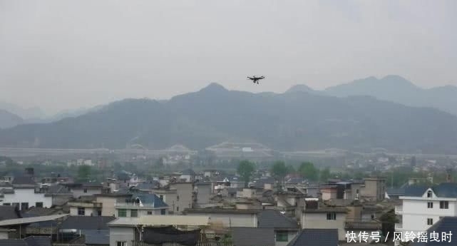  警方|松阳警方全力铲除罂粟！无人机变身铲毒“战斗机”