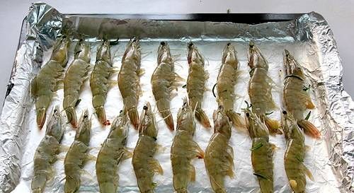  大虾|瞬间引爆味蕾的迷迭香烤大虾