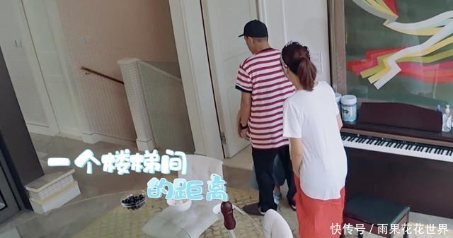 节目|陈小春夫妇角色互换,Jasper刁难爸爸,应采儿称生二胎是为陪自己