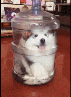 GIF|搞笑GIF:短腿就不要尝试了