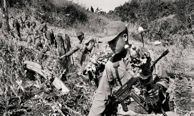  坤沙|史上最猛毒枭：巅峰时手握6个满编师，武装碾压政府军还独立建国