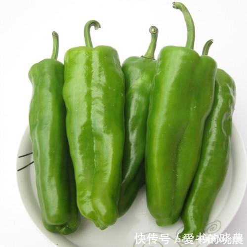  鸡蛋|炒青椒时，先放肉还是先放菜方法错了，菜不光不鲜美，还不入味