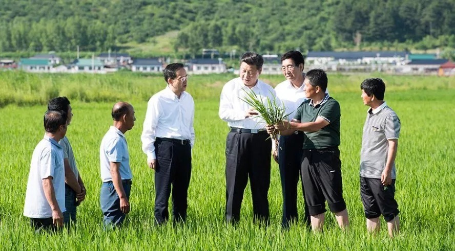 父辈|那些年，父辈的“陋习”