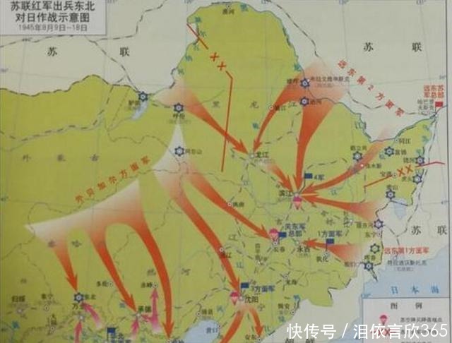 关东军|70万日军被苏联俘虏,只活下来3万人,日本士兵最怕苏联女护士