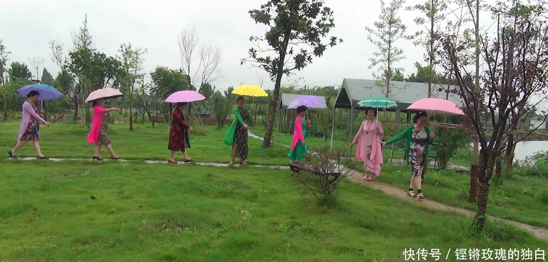 八中|马鞍山八中74届高中女生模特团:南京江宁竹庄生态园雨中走秀(音乐相册)