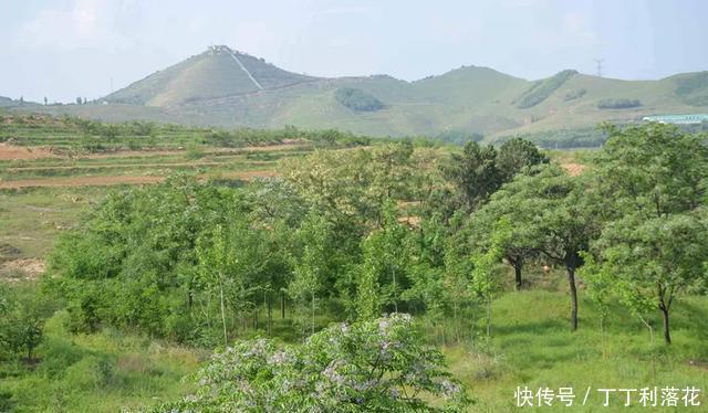 方城|羊肉烩面和烧麦，构成方城最美好的早晨