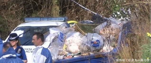  女尸|女子4年没清垃圾，警察清垃圾竟然发现一具女尸，女子：不知道！