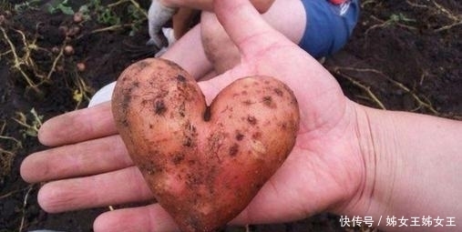 膝盖|5种奇葩水果,吃过3种以上愿送上膝盖,最后一种却是富婆最爱!