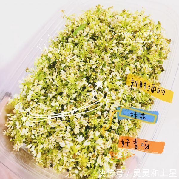  入保鲜袋中|夏日饮品-百香果啵啵桂花绿