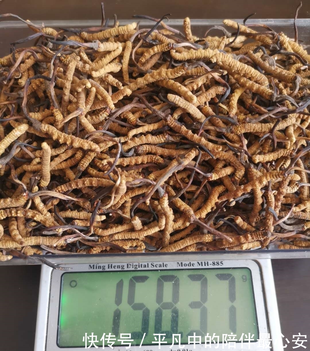 品质|买冬虫夏草看包装更要看品质