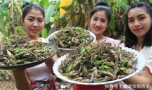  最为|蝗虫已抵达中国边境，席卷中国的几率有大多这条路最为危险