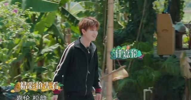 谭松韵|任嘉伦陆绎人设崩塌,谭松韵崩溃大喊“任国超”,节目组都受不了