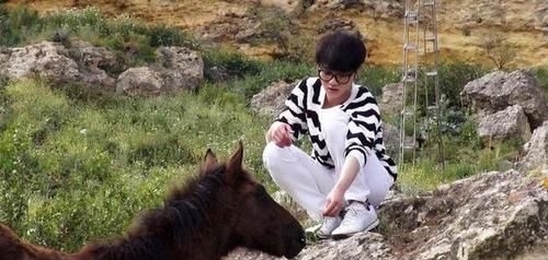  歪曲|那些年华晨宇在综艺节目里的“人设”和其背后的故事