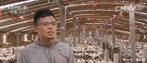 张小龙|扶贫综艺,被广告主掀翻在地?