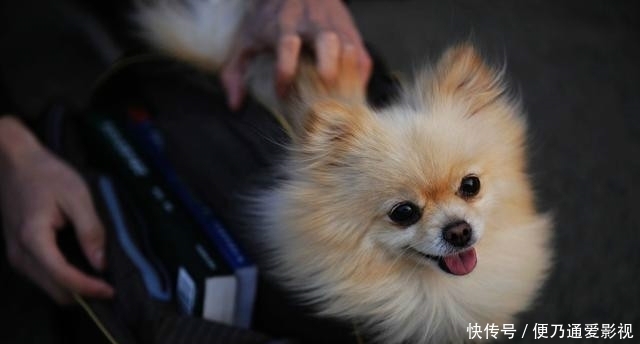  培养|外面的世界太危险，象牙塔有好也有坏，培养孩子安全意识！