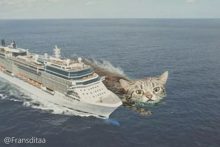  哥斯拉|要是小猫咪突然变成了庞然大物，这个世界会是什么样的