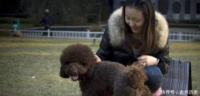  检查|女子与泰迪狗同吃同睡, 三个月后肚子痛苦万分, 检查后女子羞哭了