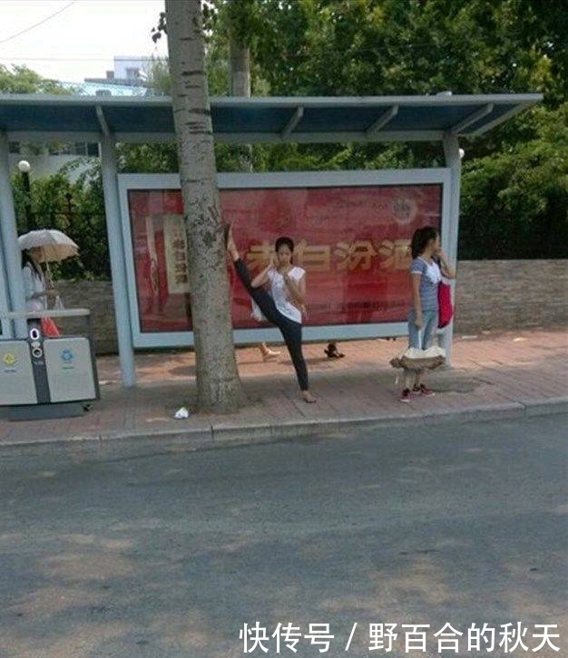 图片|搞笑图片幽默段子笑话:哈哈哈,兄弟你铲的不是雪啊,是你的猫咪