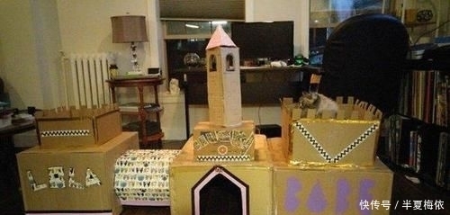 豪华|有才!外国网友用废纸箱,给喵星人打造豪华城堡