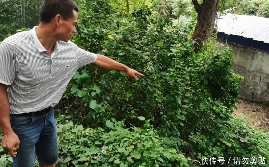 堂哥|10岁女童疑遭邻家堂哥侵犯杀害，事后被抛尸菜地