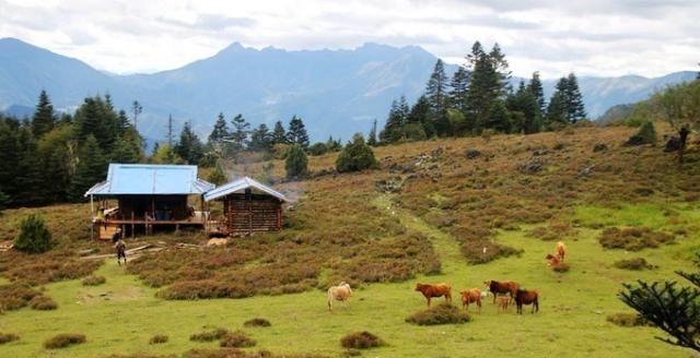 攻略|无深度不云南——丽江巴拉神山徒步穿越攻略