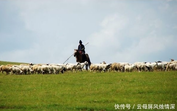  亲华|亲华总统果然讲信用，答应捐赠中国的30000只羊，将分批移交