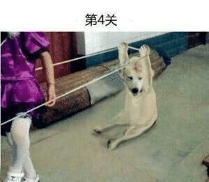 回复|“头盔上为什么要加个网哈哈哈哈哈看到回复差点笑到窒息”