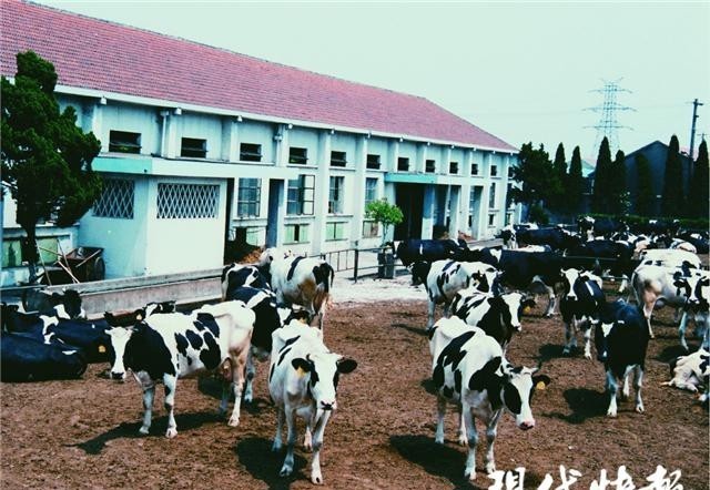 地产牛奶|天资乳业:做一家有情怀有文化的乳品企业