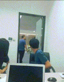  鸡成|搞笑GIF：这只鸡成精了吧！这么高还敢飞，真把自己当鸽子啦